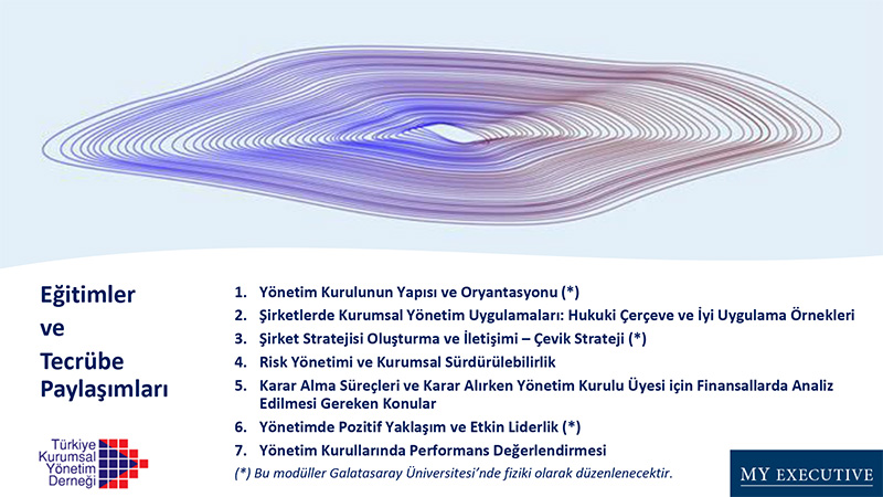YÖNETİM KURULU ÜYELİĞİ MENTORLUK VE GELİŞTİRME PROGRAMI